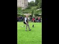 Harris Hawk at Dunrobin Castle