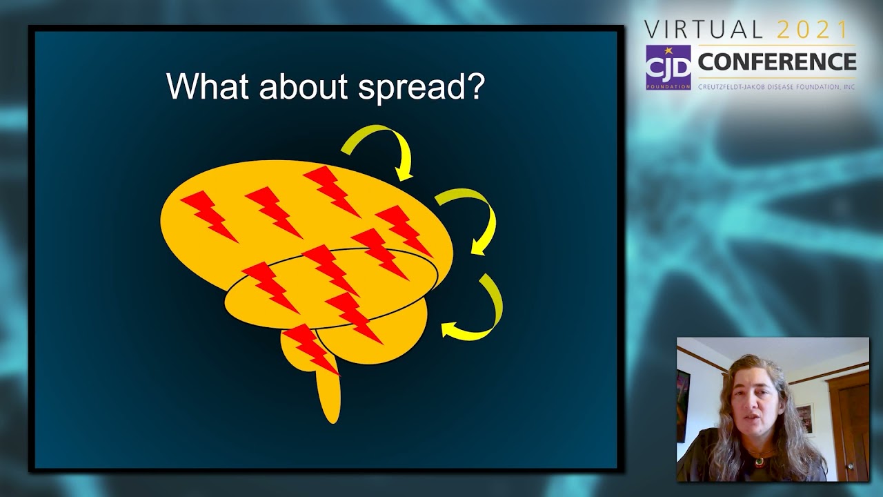 Strain-Specific Pathology & Spread in Prion Organotypic Slice Culture Assay Infected With...