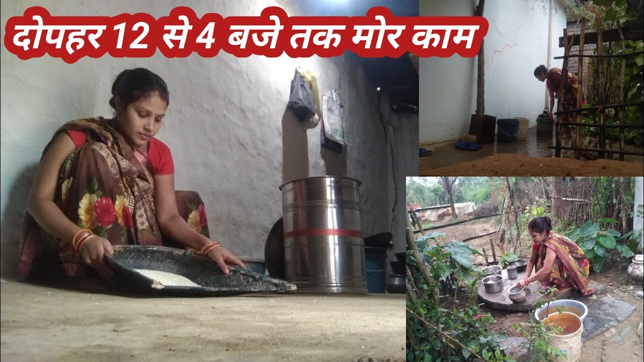 दोपहर 🏠12 बजे से 4 बजे 🙍‍♀️🙍‍♀️तक मोर काम