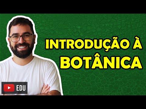 Vídeo: Contabilidade de bens e materiais: alguns aspectos