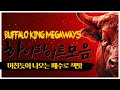 [슬롯머신][슬롯] 🧡 BUFFALO KING MEGAWAYS : 버팔로킹 메가웨이즈 🧡 미친듯이 나오는 배수로 잭팟! [슬롯추천]