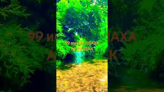 99 имен Аллаха. ар Раззак