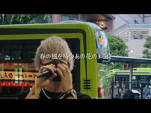 「かくれんぼ」優里 cover CAIKI