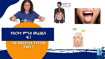Grade 8 General Science Unit 4: The Digestive System Part 1 | ስርዓተ ምግብ መፈጨት ቁ.1 | Saquama | ሳቋማ