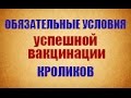 Схема вакцинация кроликов, обоснованная научно и подтвержденная опытом, надежная защита от гибели