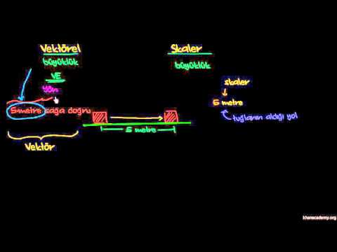 Video: Fizikte vektör ve skaler nedir?