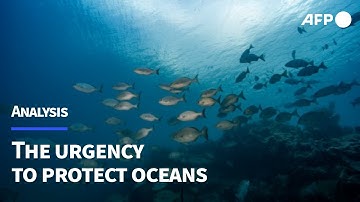 UN Ocean Conference: A turning point for the world’s oceans? | AFP