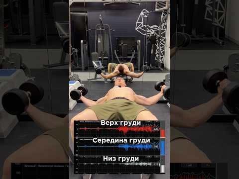 За заказом персонального планом тренировок и питания пишите в телеграм:TrainerSmirnoVV