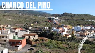 🏝🇮🇨VIVIR EN CHARCO DEL PINO (TENERIFE)