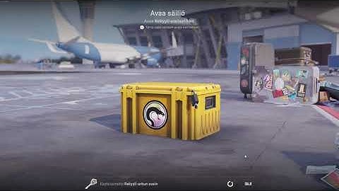 DAY 113 OPENING CS2 CASES UNTIL I GET GOLD!