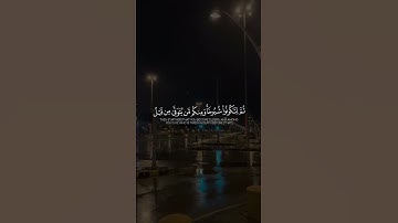 القرآن الكريم بصوت جميل استمع لا تهرب وا لا تنسى الصلاة على نبينا محمد صلى الله عليه وسلم 🤍
