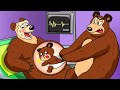 Female bear is pregnant but  who is baby   bears life story  bear funny animation