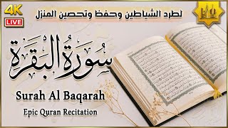 سورة البقرة كاملة لطرد الشياطين وحفظ وتحصين المنزل | تلاوة هادئة | Surah Al-Baqarah