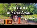 10 Year Old Monk Lives Alone in a Tree House in Sri Lanka (Minimalist Living)