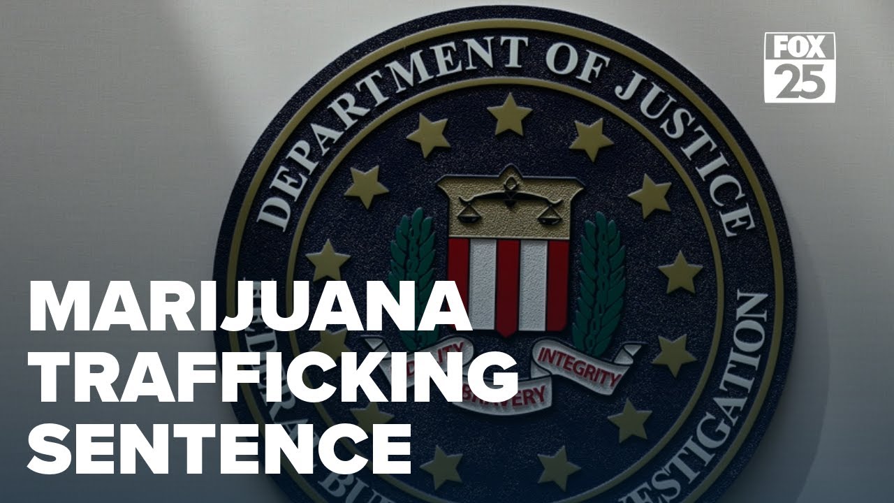 'Under a microscope' Chinese national sentenced for marijuana trafficking crimes