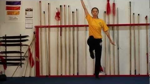 Wushu Stretch Kicks Online Distance Education Course