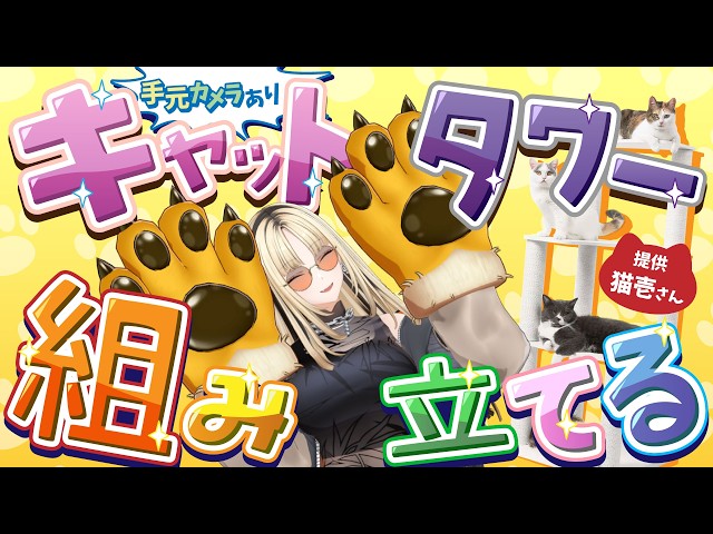 【手元カメラ】猫壱さんから頂いたキャットタワー組み立てる虎【虎金妃笑虎／猫壱】#PR