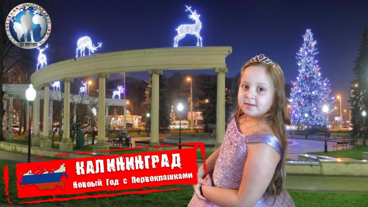 Алекс авто калининград телефон