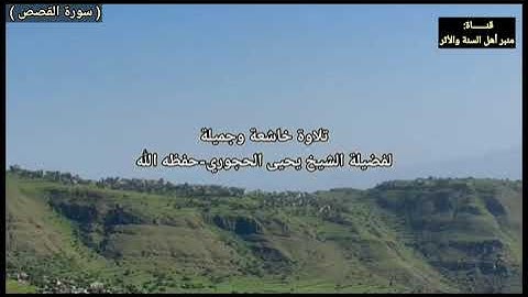 تلاوة خاشعة (سورة القصص) بصوت فضيلة الشيخ يحيى بن علي الحجوري-حفظه الله