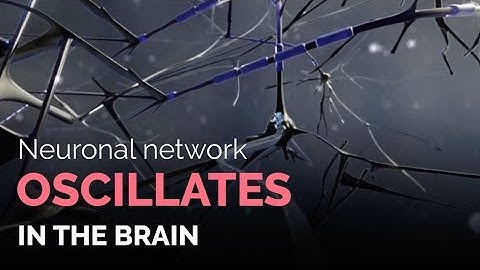 Neuronal Network Oscillations