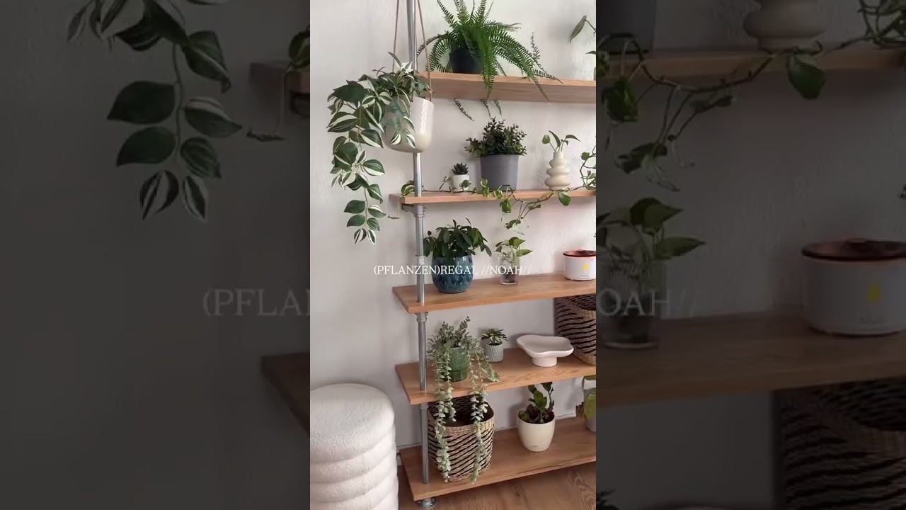 Regal NOAH hat jede Menge Platz f&uuml;r all deine Pflanzen!🤩🌿