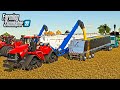 HARVESTING CORN WITH MOTHERBINS! (HOLDS 8,000 BUSHELS!) | BIG TIME FARMING