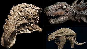 10 Times Fossil Excavations Went Terribly Wrong!