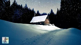 Snowy Forest Cabin! ☃ Falling Snow & Piano Music.