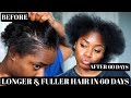 The SECRET To Using BLACK RICE for Extreme Hair Growth!  *The Results Are Crazy!! | Laurasia Andrea