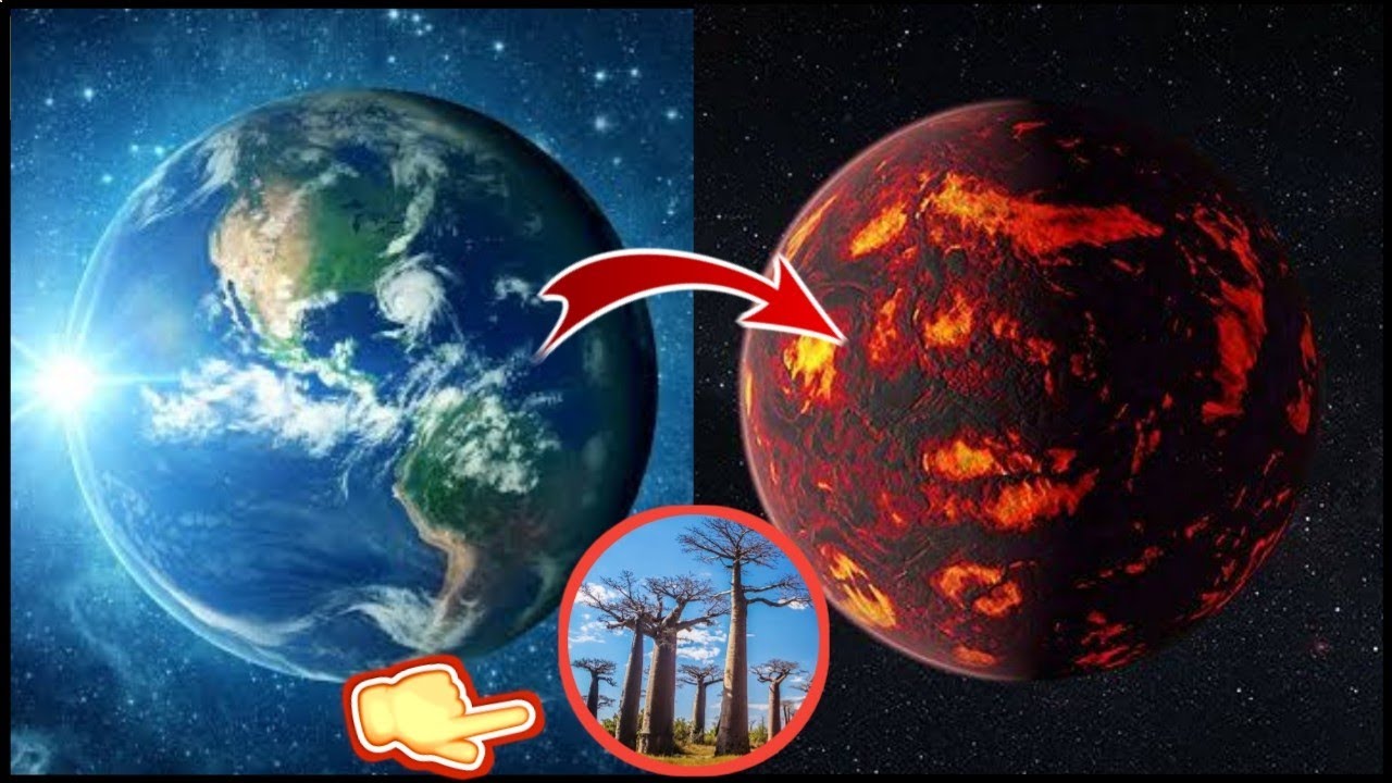 😲5 Shocking Facts❗Tree Facts 