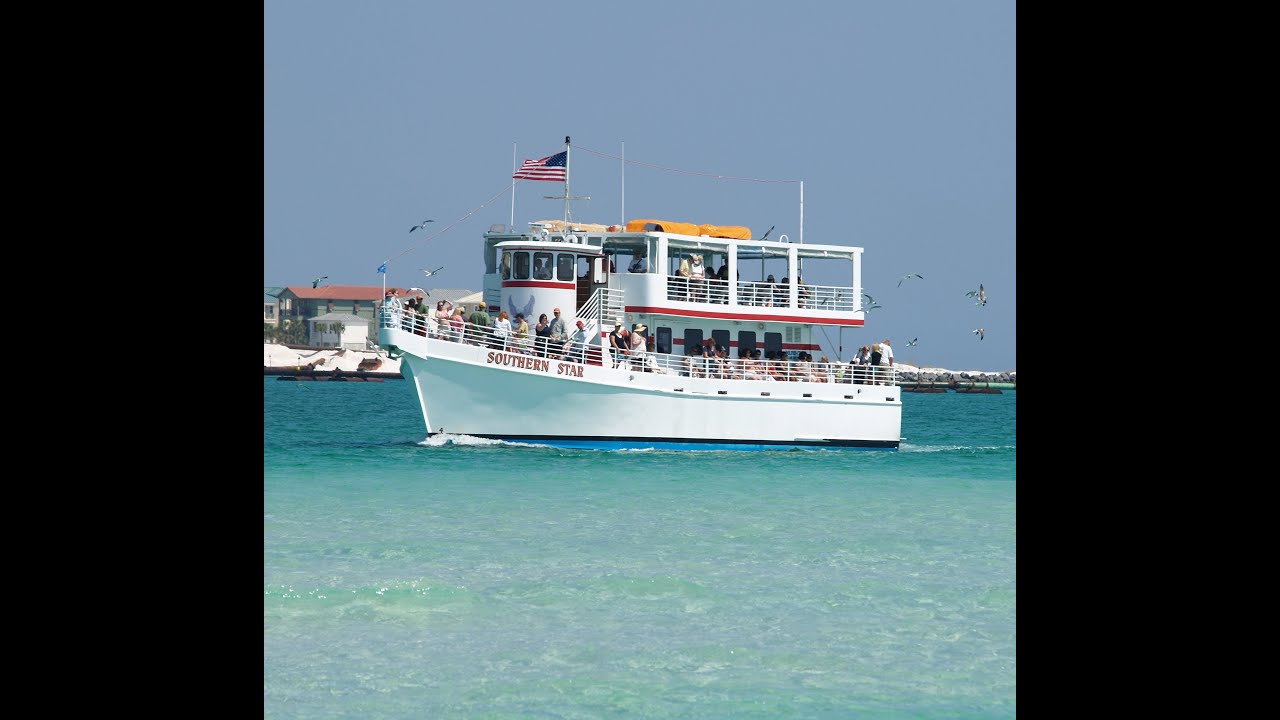 southern star dolphin cruise