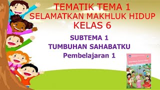 Pembelajaran kelas 6 sekolah dasar tematik kurikulum 2013 tema 1
selamatkan makhluk hidup subtema tumbuhan sahabatku semoga bermanfaat
untuk...