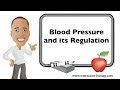 Blood Pressure Regulation (Lecture)