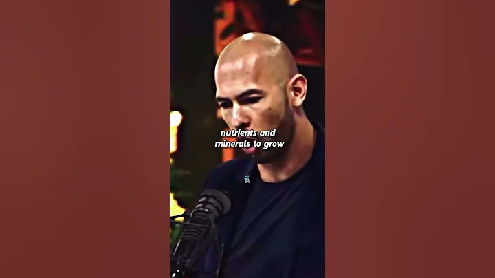 ANDREW TATE REVEALS THE HARSH REALITY OF THE WORLD #shorts #andrewtate #lifeadvise #motivation