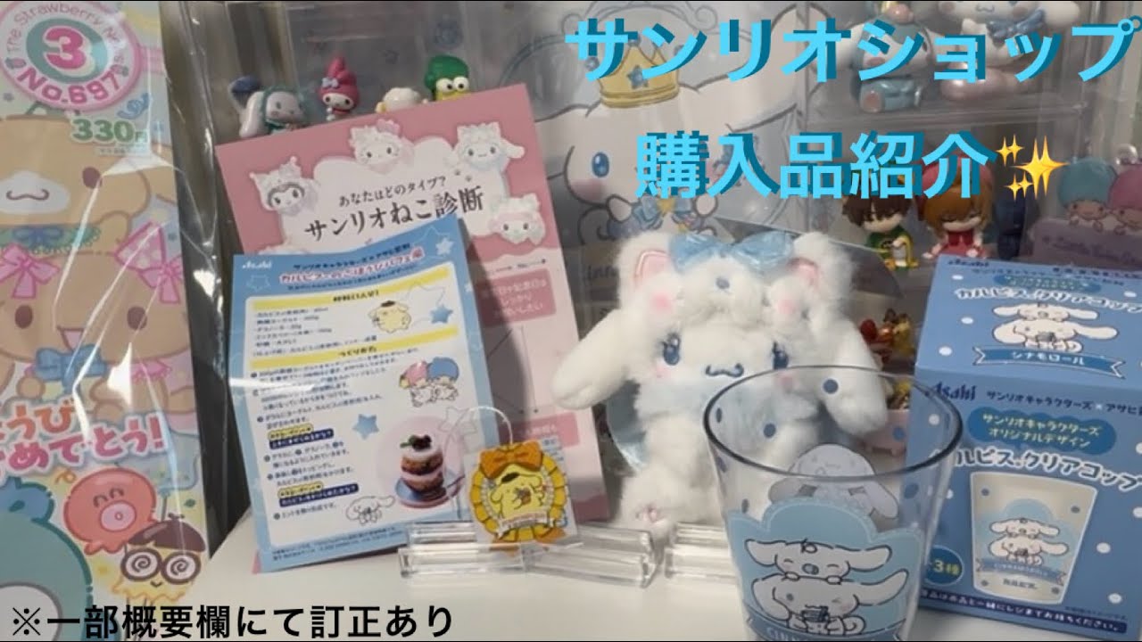 【サンリオキャラクターズ】サンリオショップ購入品紹介♪【シナモロール】