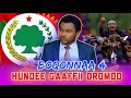 BOQONNAA 4. HUNDEE GAAFFII OROMOO.