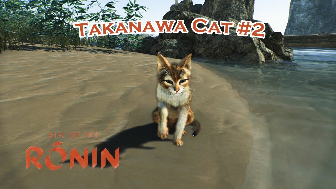 Rise of the Ronin: Takanawa Cat #2 - YouTube