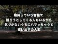期待されることがこわいですどうしたらいいのですか