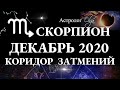 СКОРПИОН - ДЕКАБРЬ 2020 - КОРИДОР ЗАТМЕНИЙ. Астролог Olga