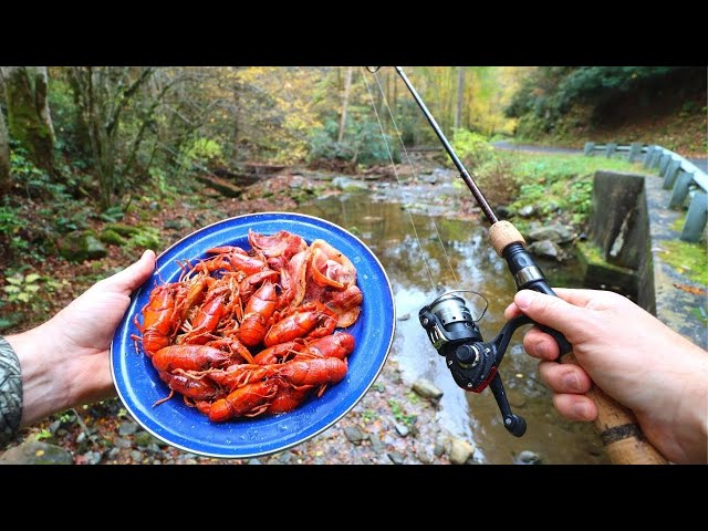 Fishing for Crawfish and Boiling 'Em in Butter!!! 