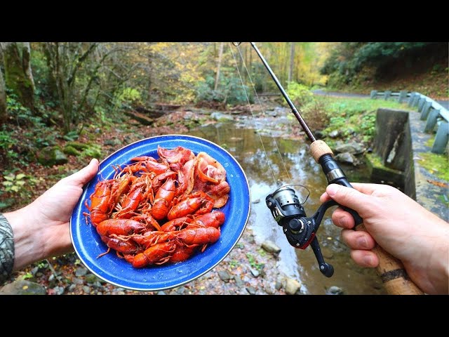 best lightweight fishing pole Ultralight Rod The Best Ultralight Spinning Reel Best Ultralight Fishing  Rods Wired2Fish