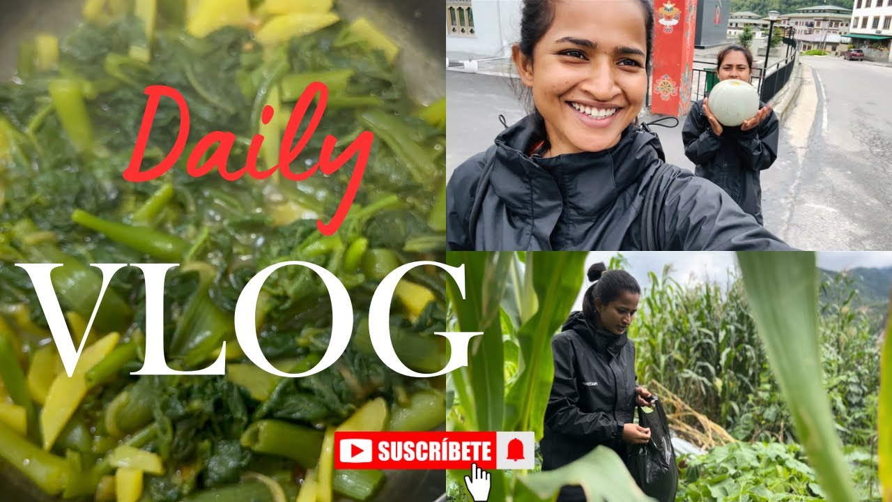 Daily vlog  🥰❤️