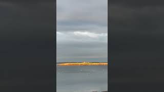 Insel Langenwerder in der Goldenen Stunde absolut Atemberaubend ‼️ #ostsee #vanlife #naturschutz