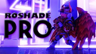 ROBLOX Shaders - Download Roshade for Free