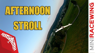 MiniRaceWing - Afternoon stroll with friends