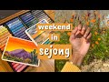 weekend in sejong city 세종시 VLOG // nails, cafes &amp; oil pastels 🎨