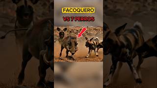 La MEJOR defensa animal que verás hoy 🔥