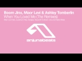 Miniature de la vidéo de la chanson When You Loved Me (Maor Levi Club Mix)