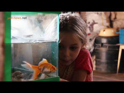 აზიური ფაროსანა ხალხის წინააღმდეგ. რეპორტაჟი სამეგრელოდან, სადაც თხილს ნაგავში ყრიან