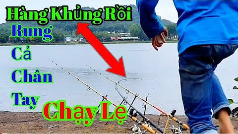 Câu cá trôi Bằng mồi câu cá trôi, chép, trắm, rô phi, cá trê, Hiệu Quả - Dễ Làm | Fishing T8